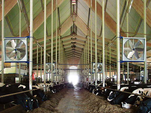 Barn fan