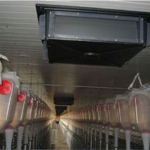 Ceiling ventilation window for piggery