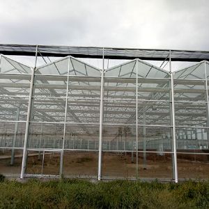 Glasshouse