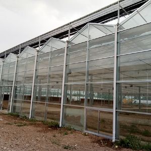 Glasshouse