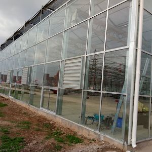 Glasshouse