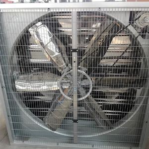 Heavy hammer fan